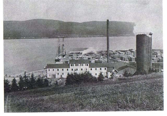 gaspe shepard and morse lumber co