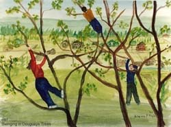 060_Swinging_In_Douguays_Trees 