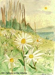 191_Daisys_on_The_Hillside