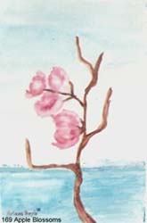 194_Apple_Blossoms