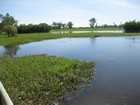 IMG_0133 Yellow Water Billabong in the dry season.JPG