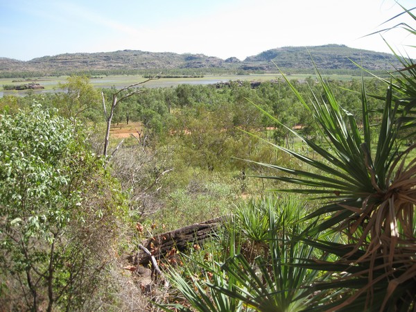 n_img_0166_billabong_flood_plain_with_pandanus_at_right.jpg