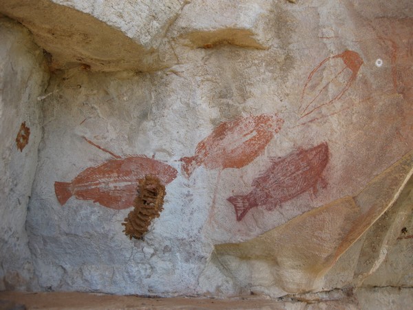 n_img_0175__red_fish_and_mud_termite_nests.jpg