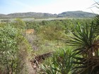 IMG_0166 Billabong-flood plain with pandanus at right.JPG