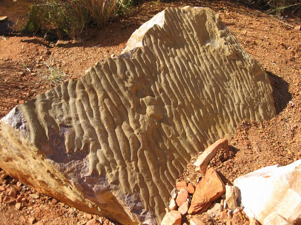 n_img_0831__sandstone_wave_patterns_in_emma_gorge.jpg