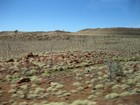 IMG_1462  Spinifex .JPG