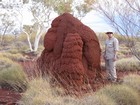 IMG_1526  Termite mound and Bob.JPG