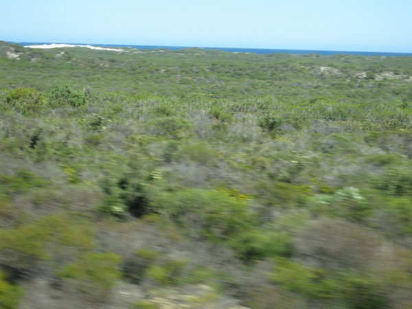 n_img_3185__beach_dunes_are_red.jpg