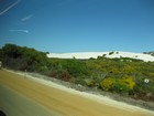 IMG_3186  Moving dunes are white.JPG