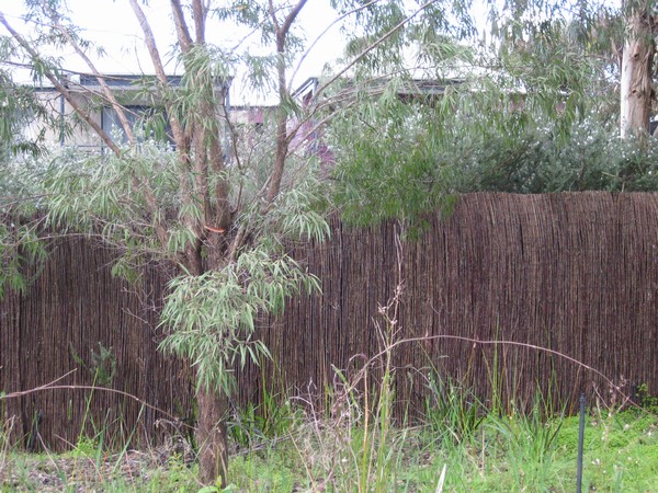 n_img_3599__rush_fence_in_margaret_river.jpg