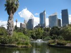 IMG_4464  Sydney Royal Botanic Gardens and downtown.JPG