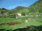 IMG_2622 Vineyards.JPG