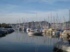 IMG_4209 Marina.JPG