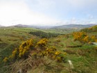 IMG_2747  County Wicklow.JPG