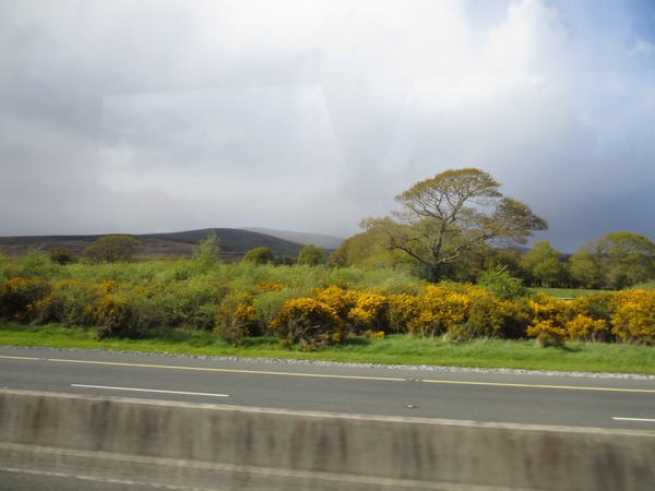 n_img_2898__countryside_between_cahir_and_mitchelstown.jpg