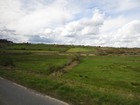 IMG_3068  North from Blarney.  Hedgerows are legally protected wildlife habitat.JPG