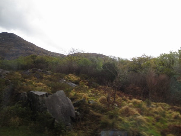 n_img_3191__killarney_national_park.jpg