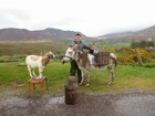 IMG_3136  Ring of Kerry.JPG