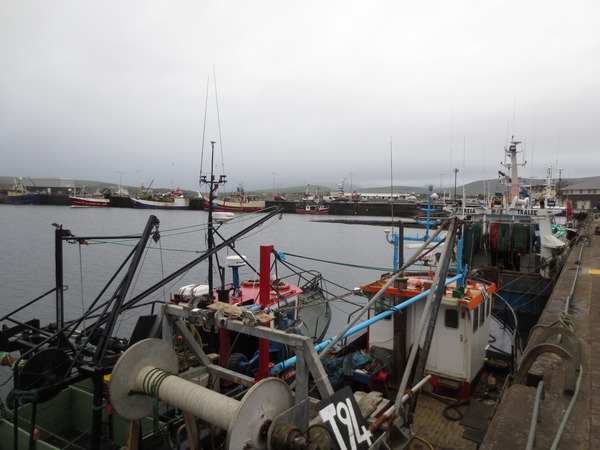 n_img_3248__dingle_harbour.jpg