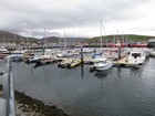 IMG_3309  Dingle marina and harbour.JPG