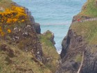 IMG_3999  Rope bridge to Carrickarede Island.JPG