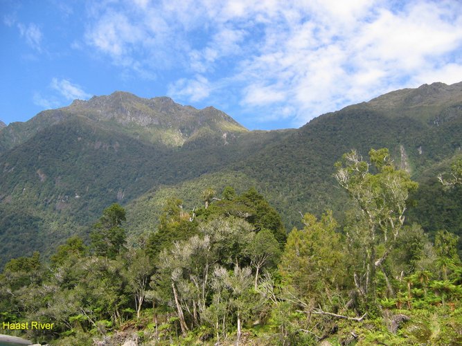 2007_03_28__2107_haast_river.jpg