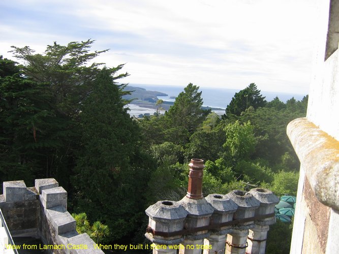 2007_04_01__2304_view_from_larnach_castle.jpg