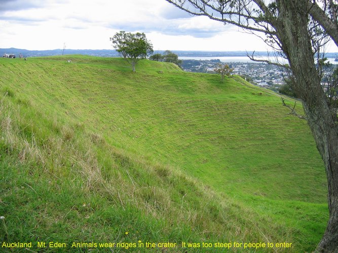 2007_04_07__2436__auckland___mt__eden_crater.jpg