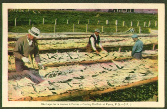 1920's curing_codfish_in_perce,quebec