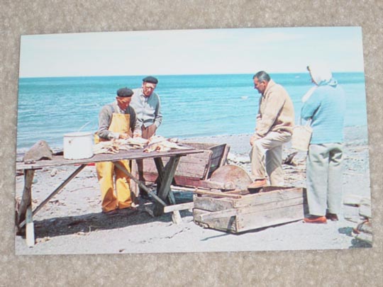 fisherman on the north beach