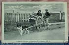 dog cart on gaspe coast,quebec