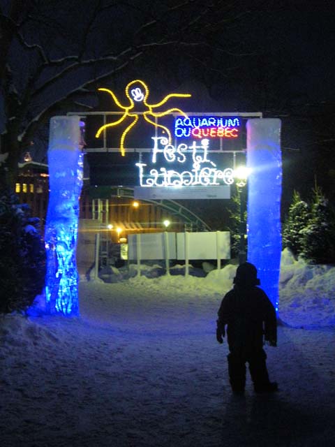 Quebec Carnival 2011 (4)