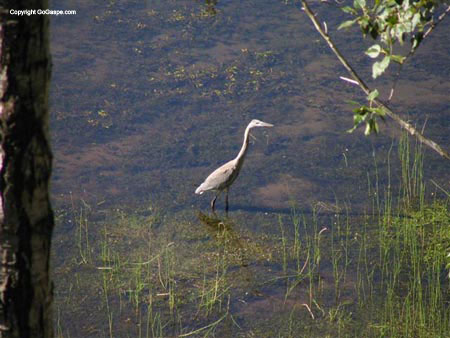 02_fishing (2)