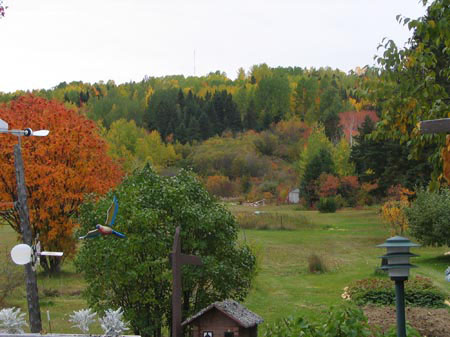 fall_colors