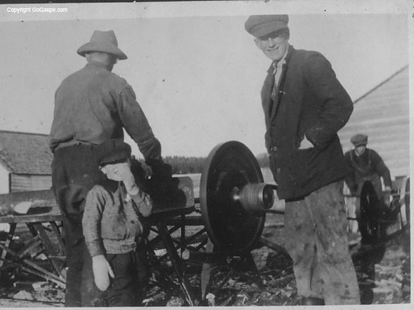 sawing wood