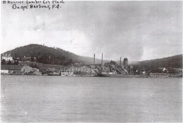 gaspe st maurice lumber co