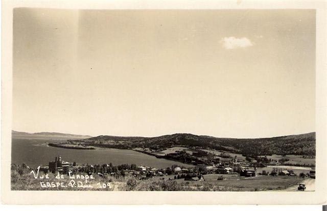 gaspe view of adam's point