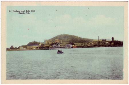 PulpMill1