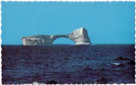 newfoudland iceburg off coast