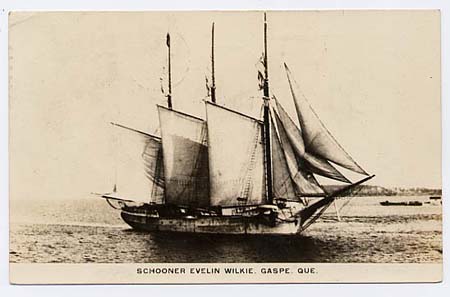 schooner evelin wilkie at gaspe 1929